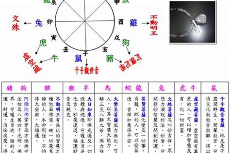 2003年五行|2003年属羊是什么命，03年出生五行属什么